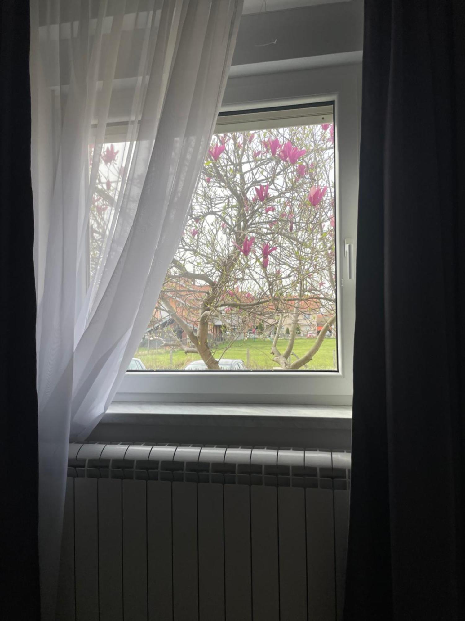 Deluxe Apartment Magnolia 2 Belgrad Zewnętrze zdjęcie